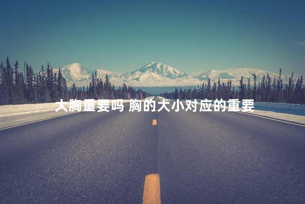 大胸重要吗 胸的大小对应的重要